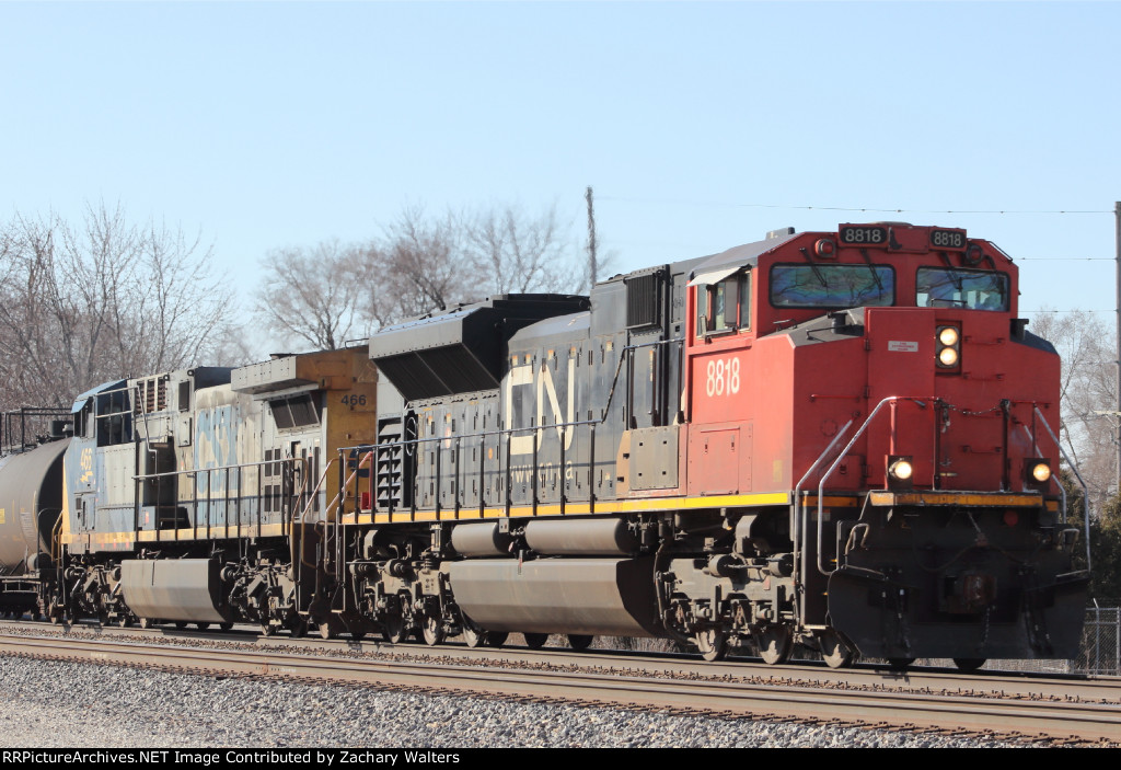 CN 8818